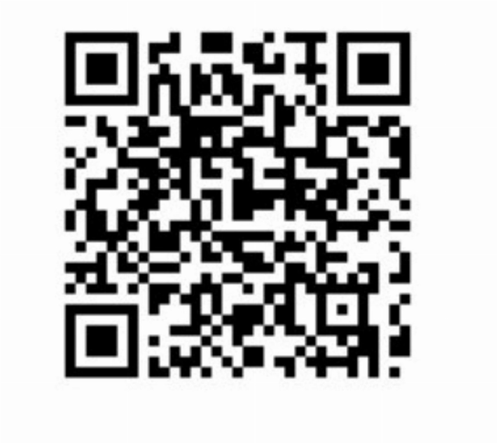 Colosseum Historical Villa Main image