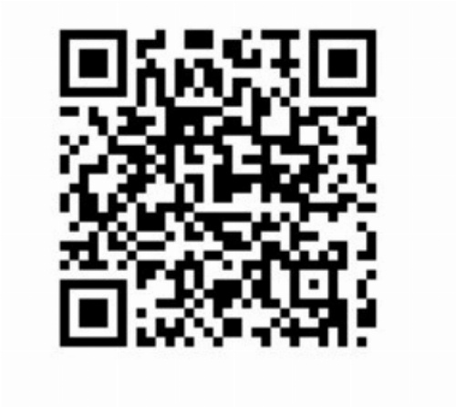 Colosseum Historical Villa image 2