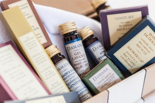 Colosseum Historical Villa image 9